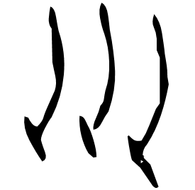 Oracle form