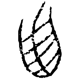 Oracle form