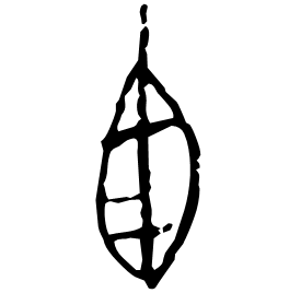 Oracle form