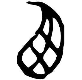 Oracle form