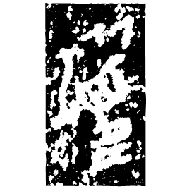 Bronze form