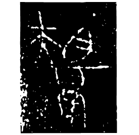 Bronze form