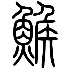 鯸 Seal script Shuowen (~100 AD)