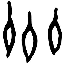 Oracle form