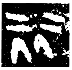 Bronze form