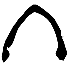 Oracle form