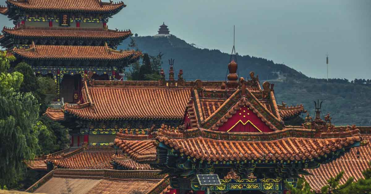 我們為什麼學習中文？