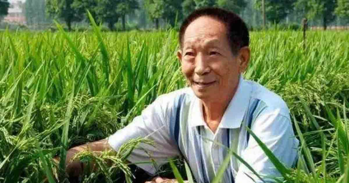 再見，袁隆平爺爺