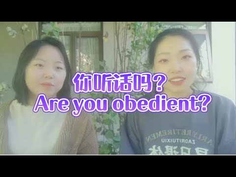 你听话吗? Are you obedient? 你听话吗? Are you obedient?